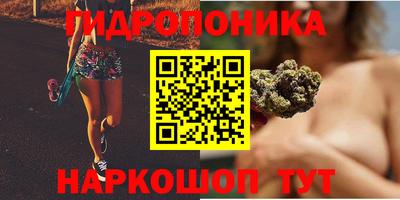 сатива Пенза