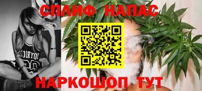 сатива Пенза