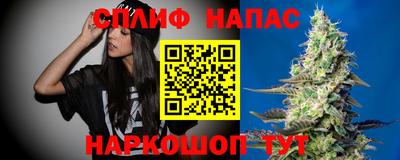сатива Пенза