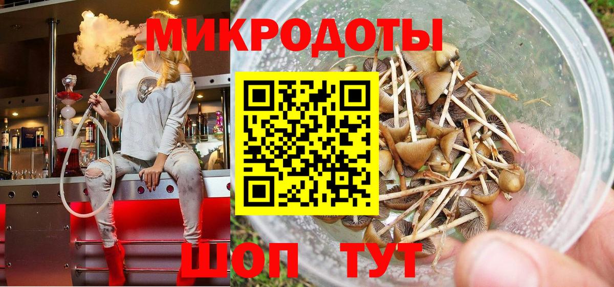 Партизанск  Псилоцибиновые грибы ЛСД  Вход с VPN 